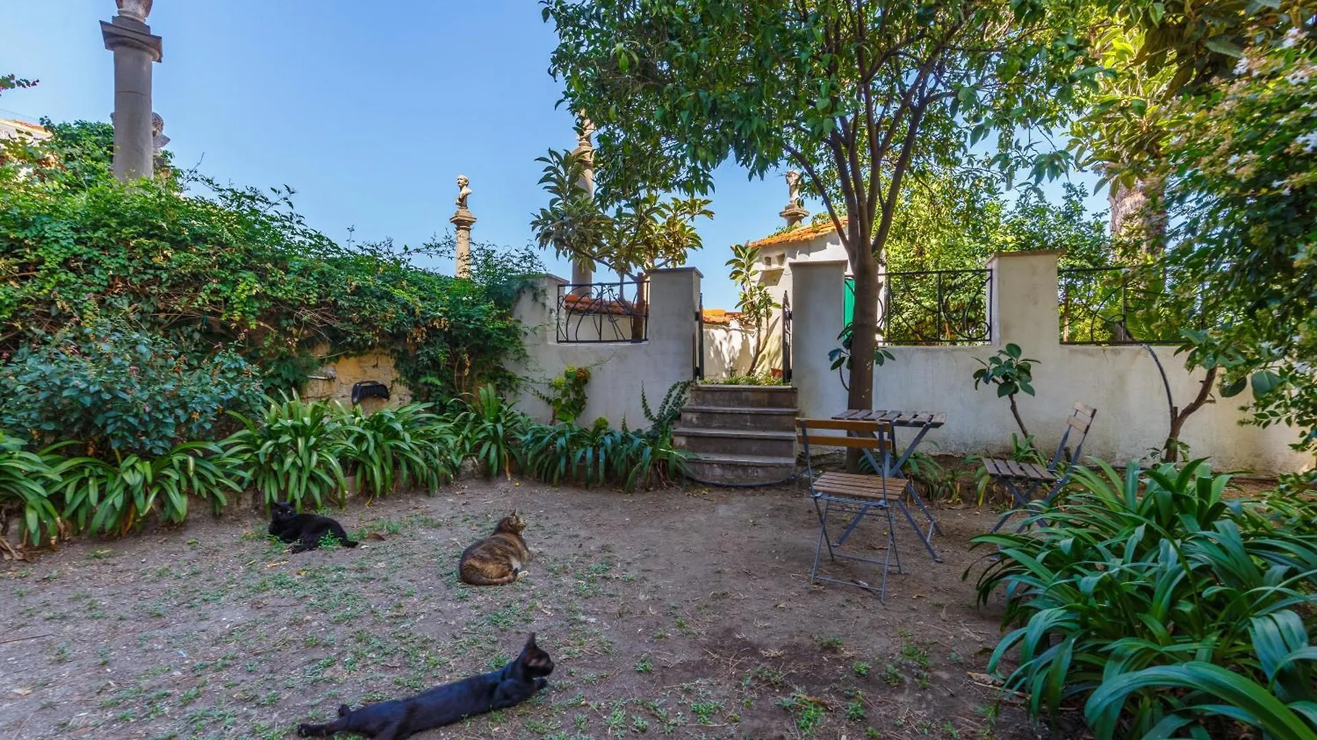 Romantic Place With Pines, Cats, Stunning View And Parking Neapol 0*,  Itálie