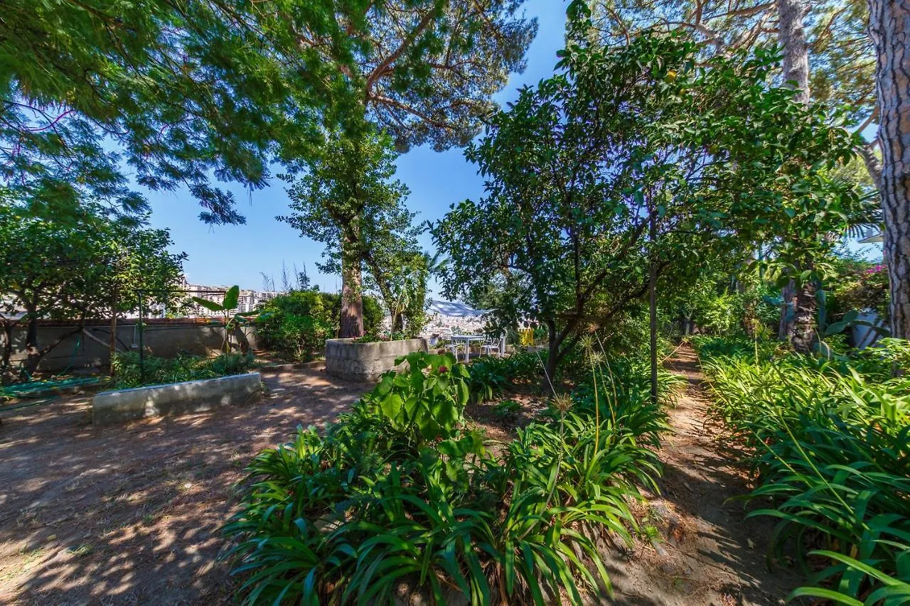 公寓 Romantic Place With Pines, Cats, Stunning View And Parking 那不勒斯
