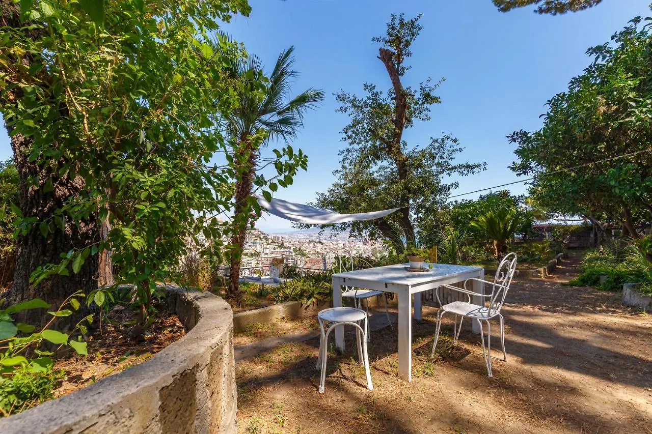 Romantic Place With Pines, Cats, Stunning View And Parking 那不勒斯 公寓