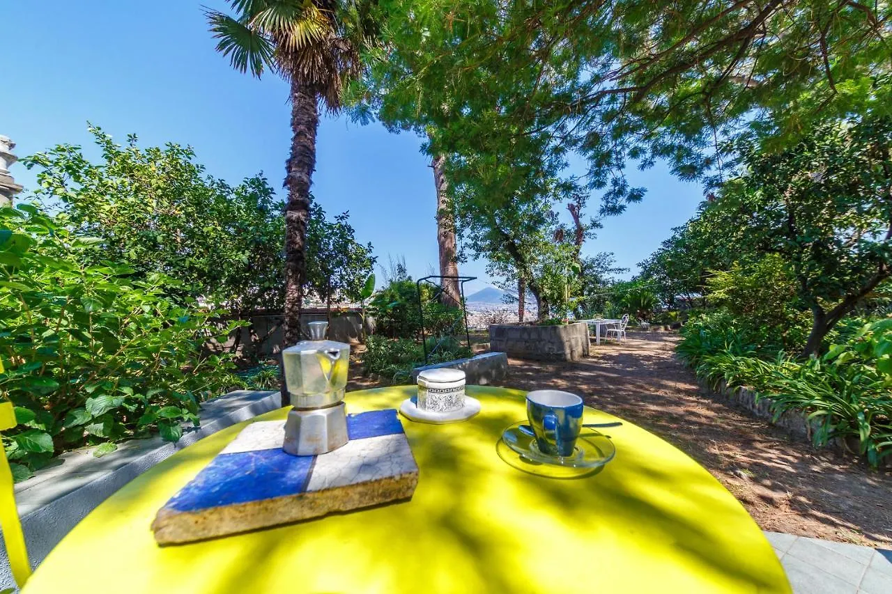 Romantic Place With Pines, Cats, Stunning View And Parking 那不勒斯 0*,  意大利