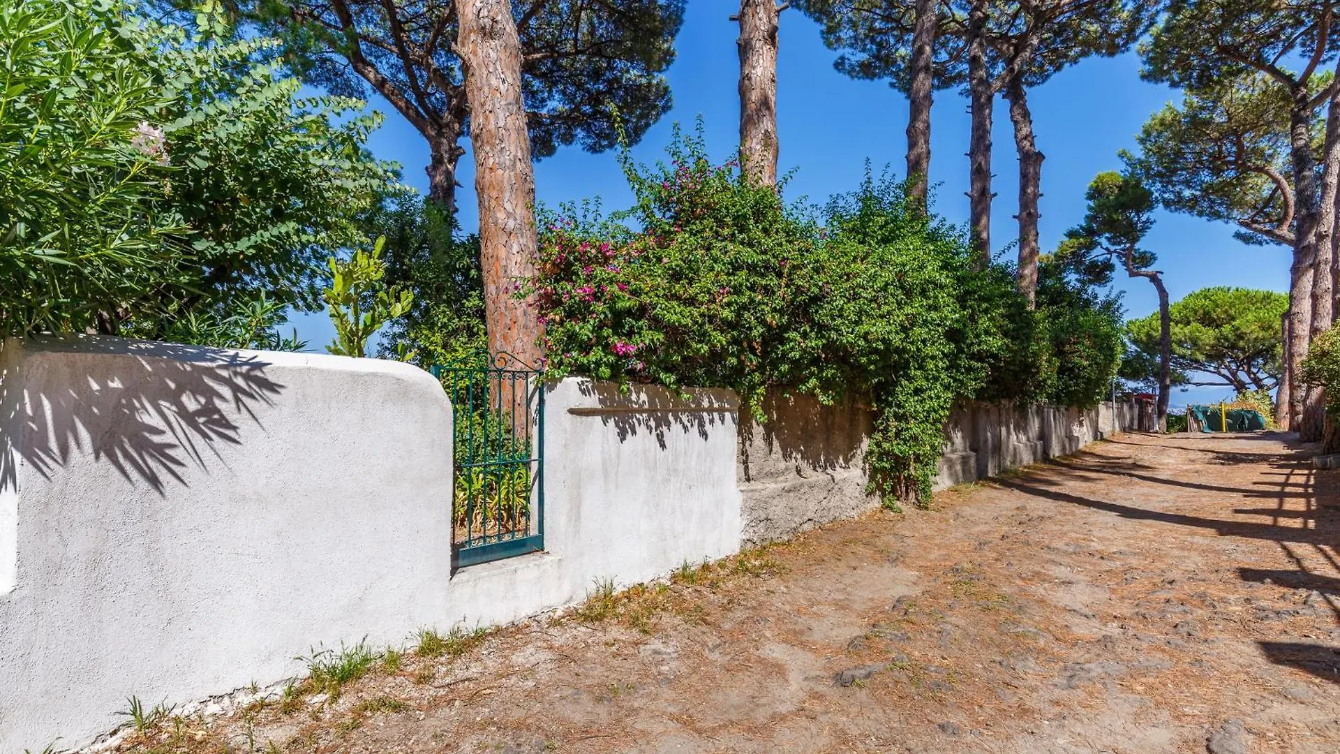 Romantic Place With Pines, Cats, Stunning View And Parking 那不勒斯 公寓