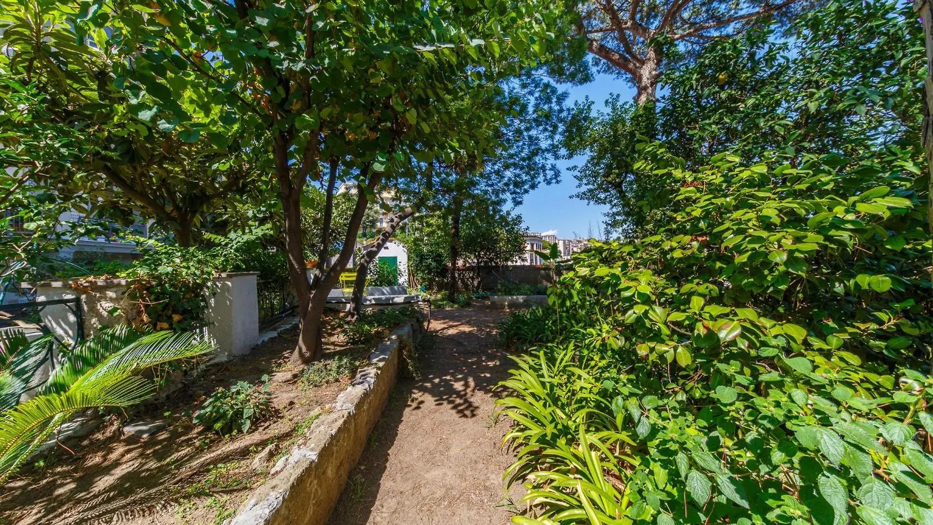 公寓 Romantic Place With Pines, Cats, Stunning View And Parking 那不勒斯 意大利